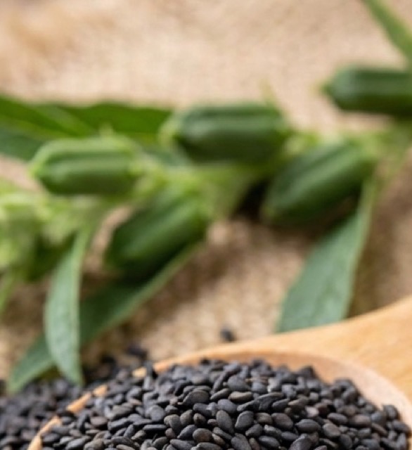 งาดำ (Black Sesame)