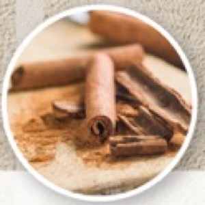 สารสกัดจากซินนามอน (Cinnamon Extract)