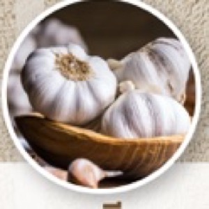 สารสกัดจากกระเทียม (Garlic Extract)
