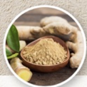 สารสกัดจากขิง (Ginger Extract)